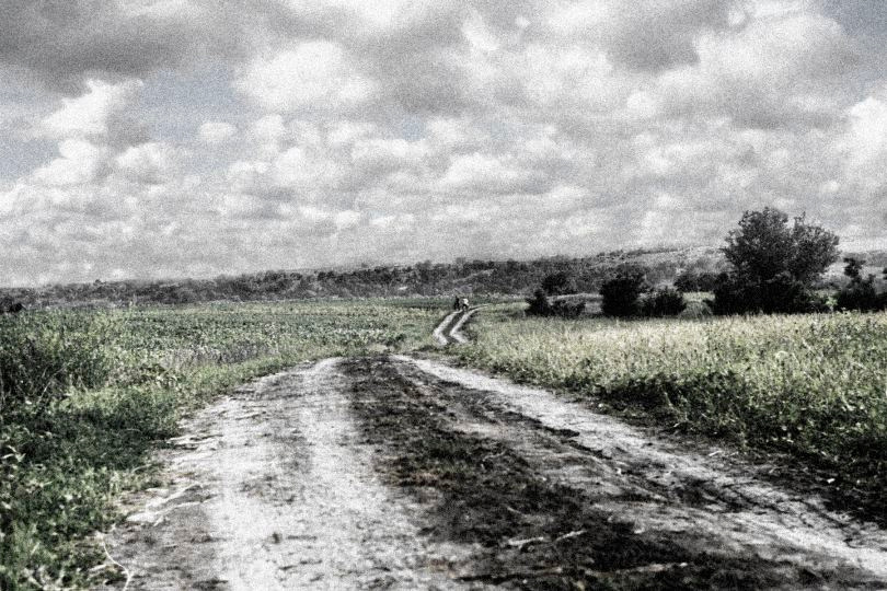 дорога дорога