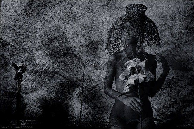 album of lily - dark 