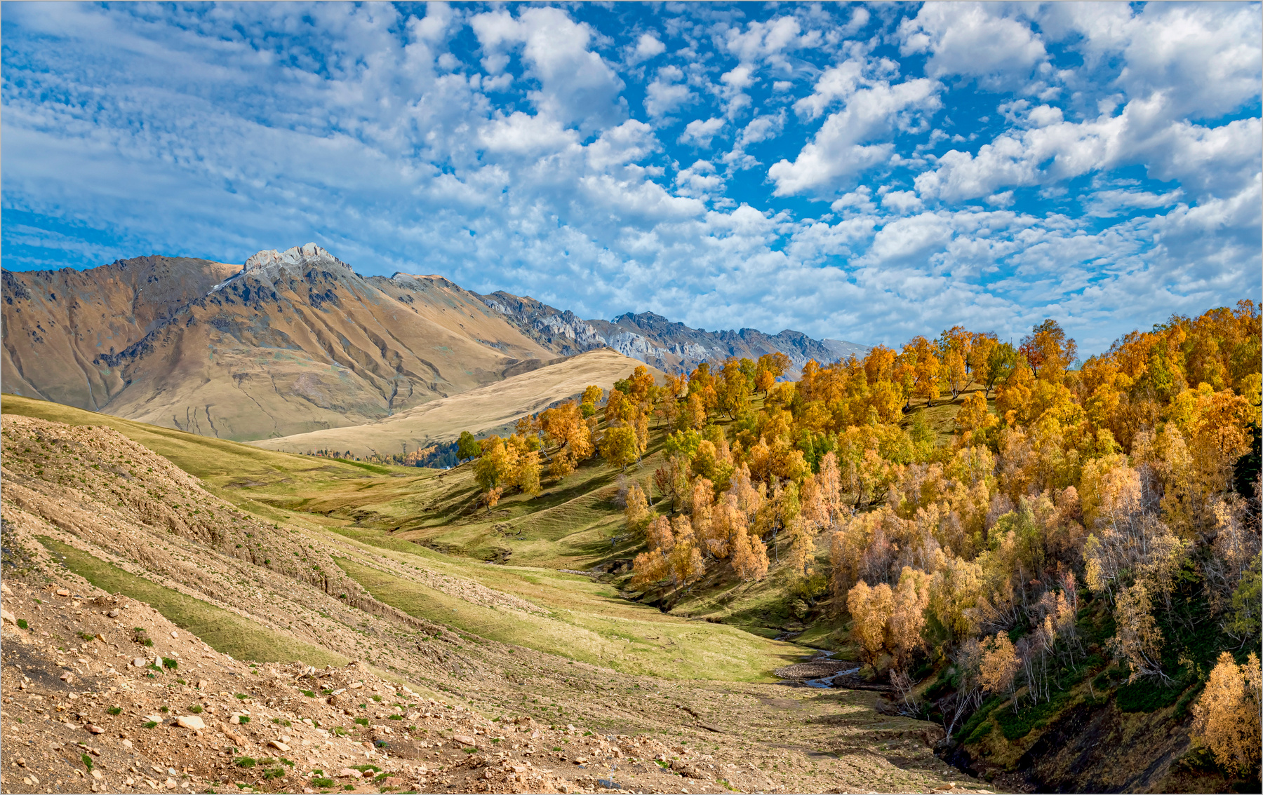 Осенняя пора природа