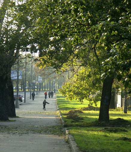 прогулка 