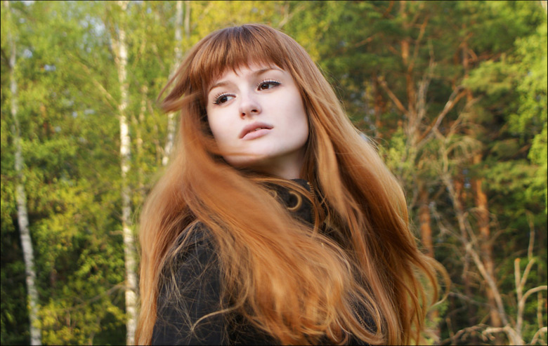 windy ветер