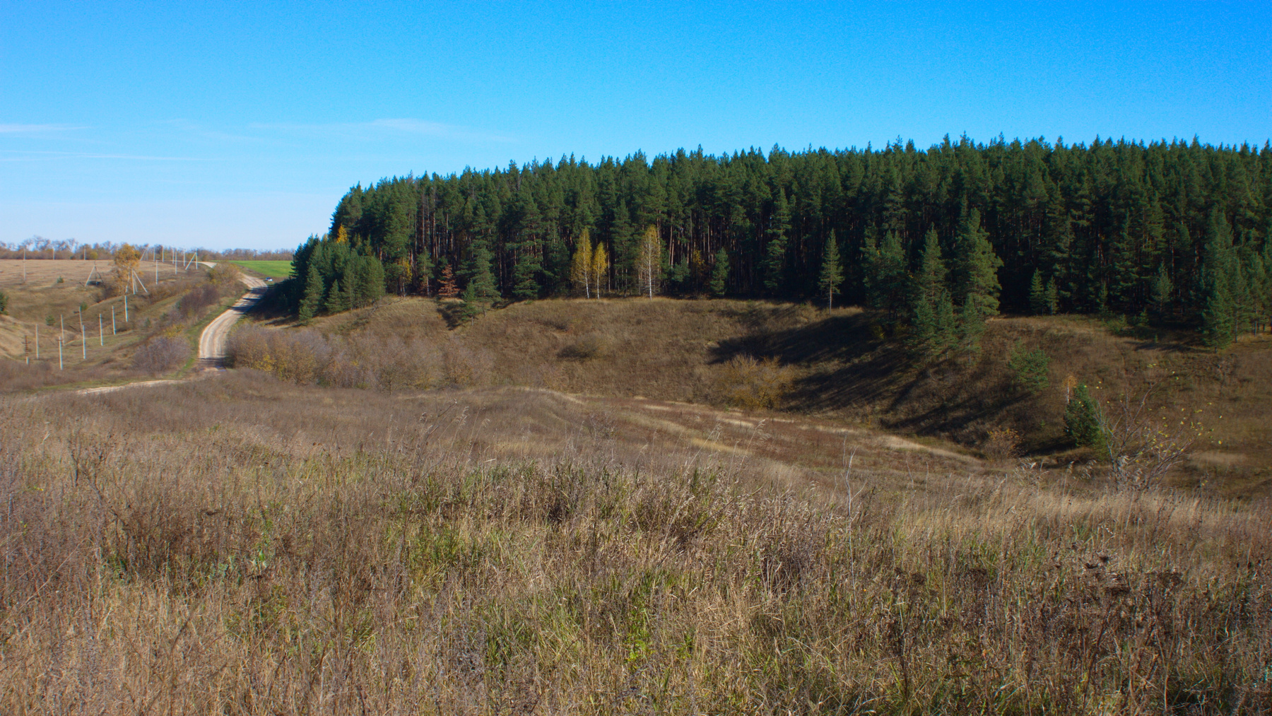 *** Осень