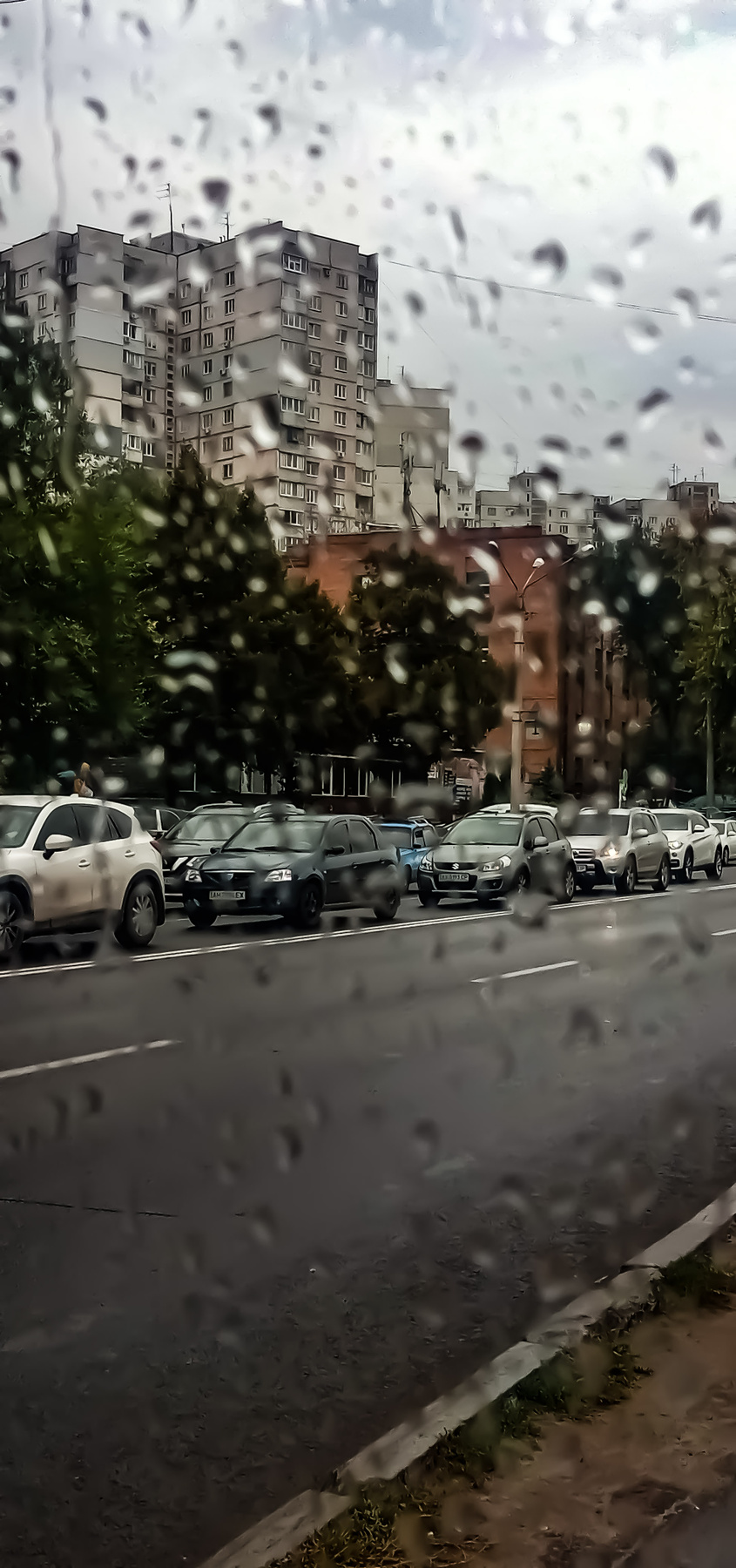 Вовремя дождя 2 