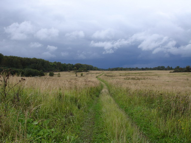 дорога 