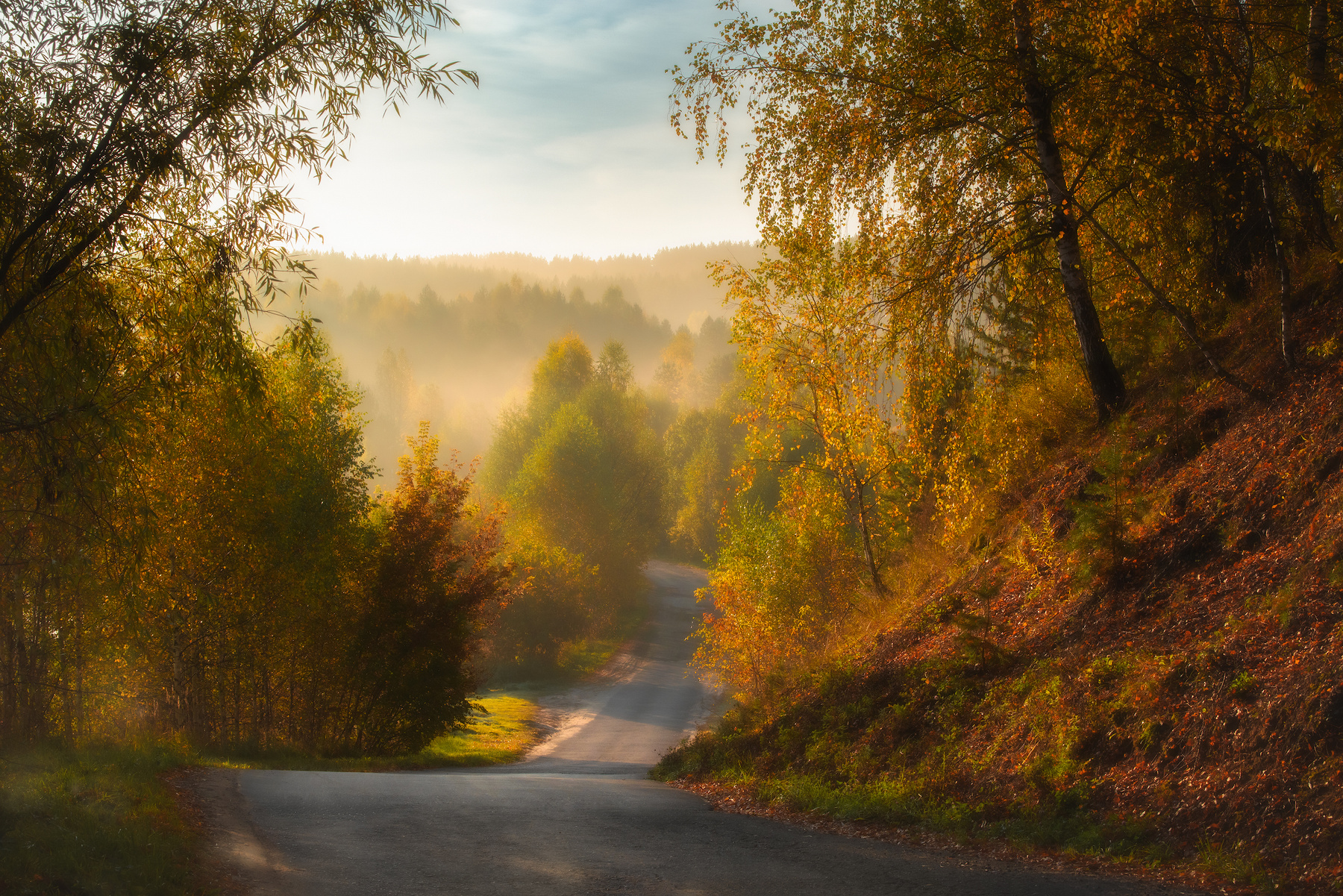Дорогой осени. 