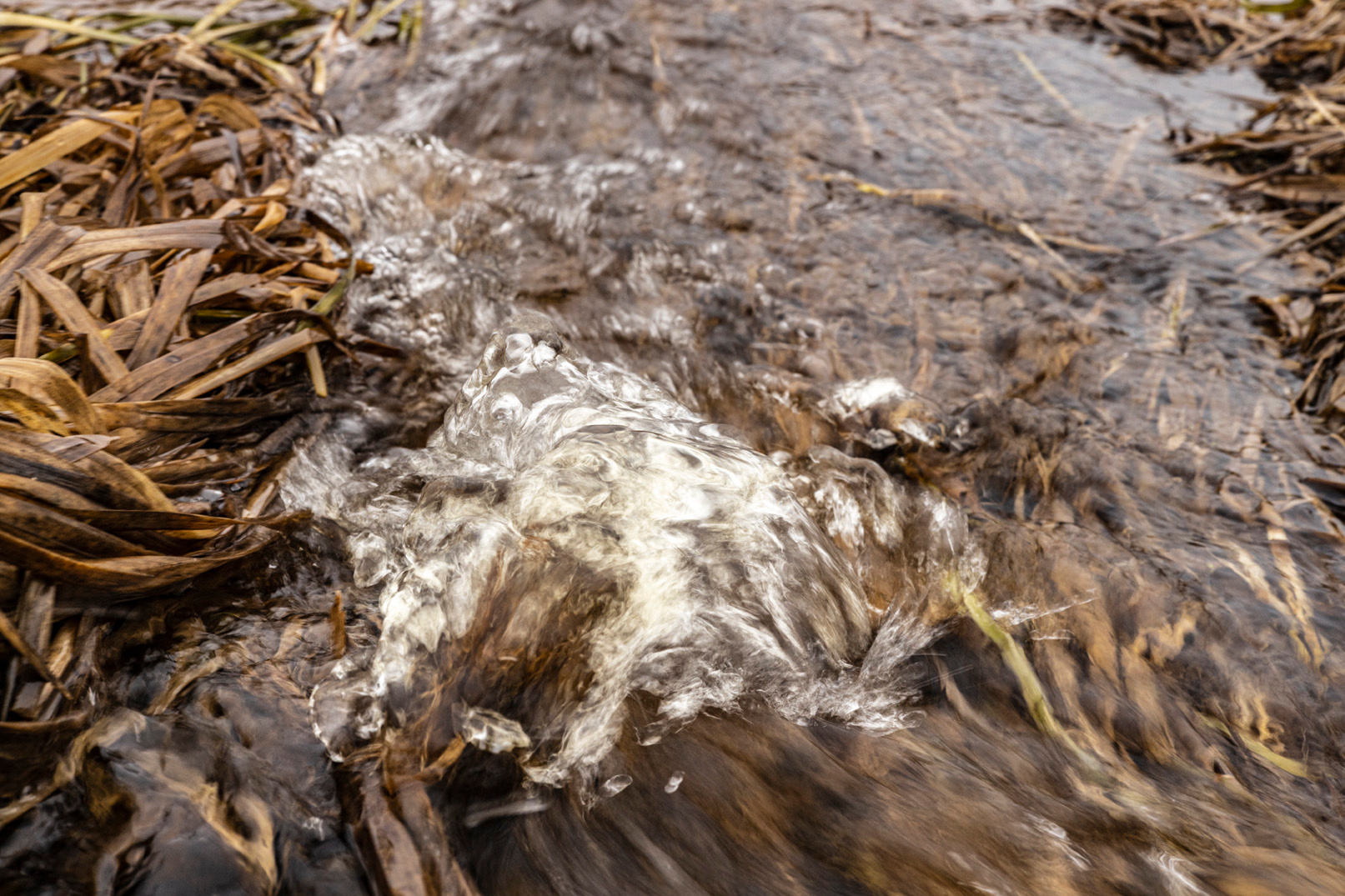 клокочущая вода ручья снег вода