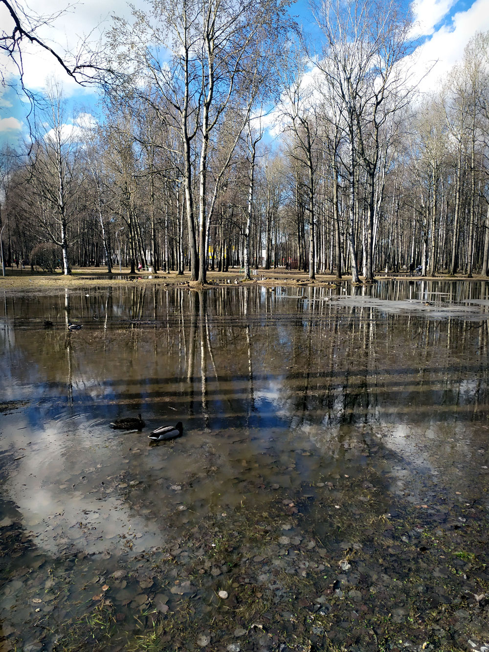 Весна 