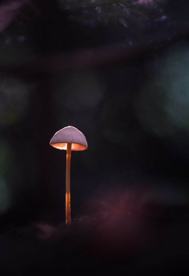 Торшерчик 