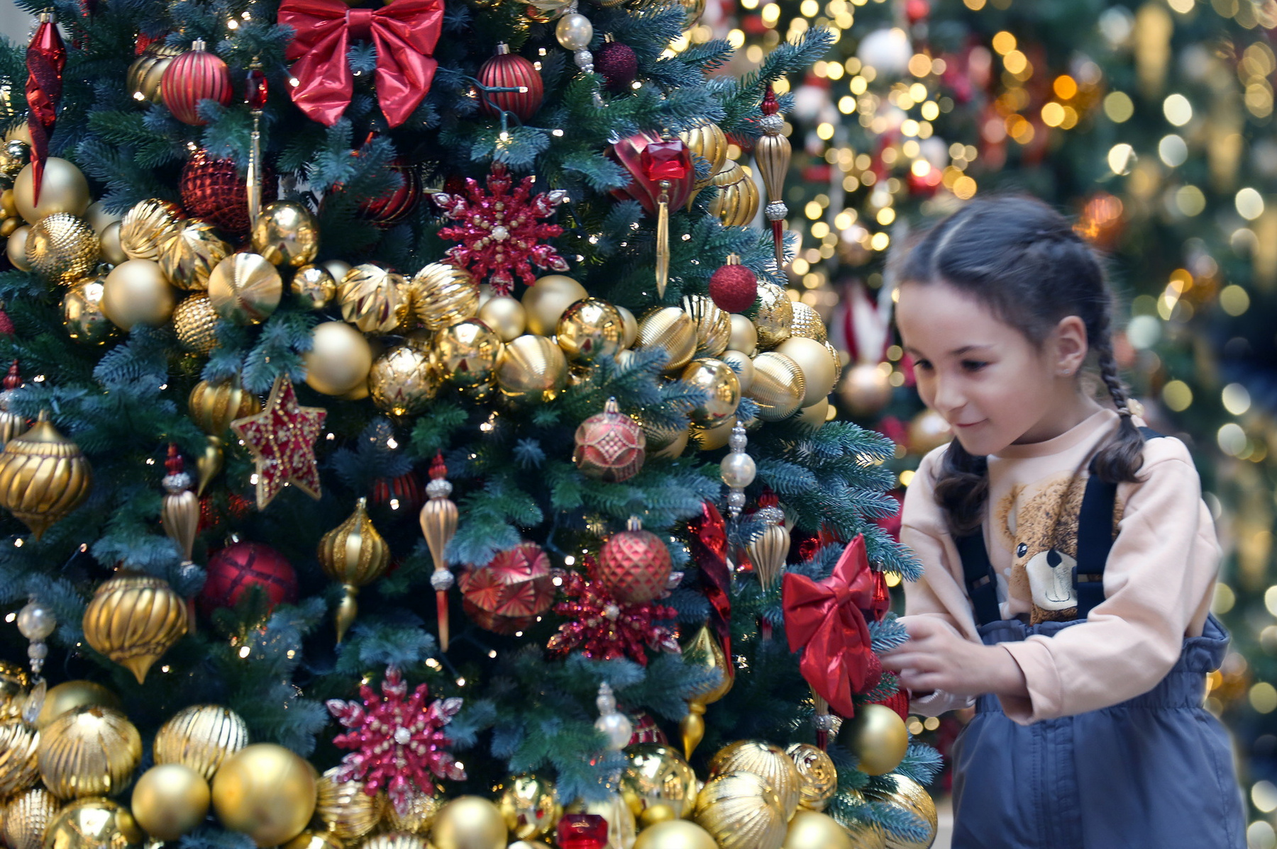 29 ноября ГУМ 