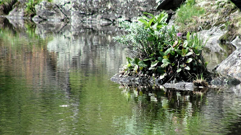 среди воды кочка озеро