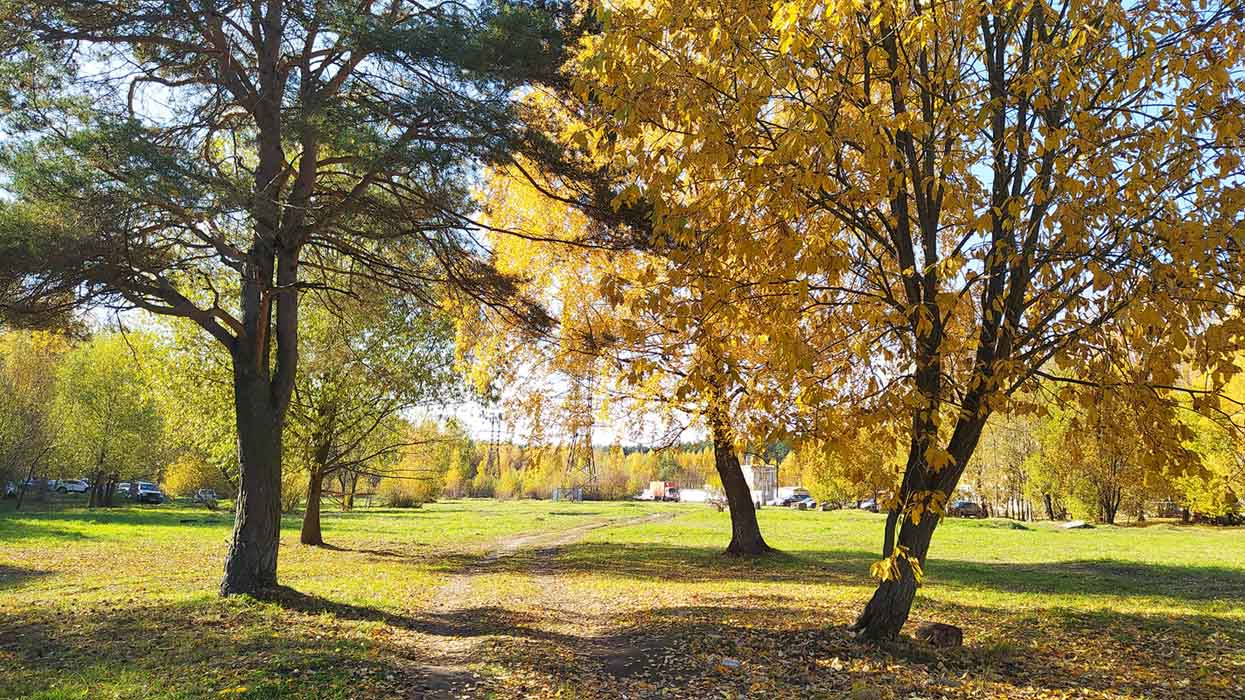 Осень осень