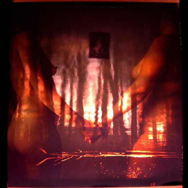 ... darek siatkowski