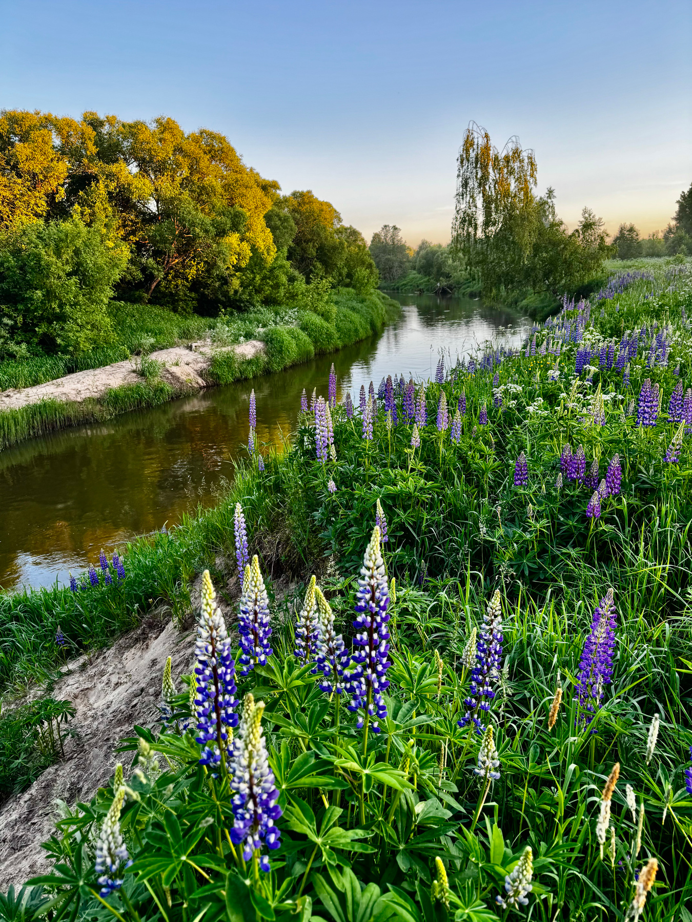 Река Киржач, МО 