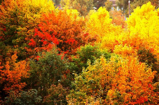 autumn.colours льете андьен