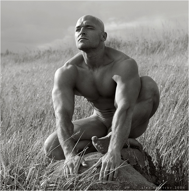 * * * * fine art nude men body nature