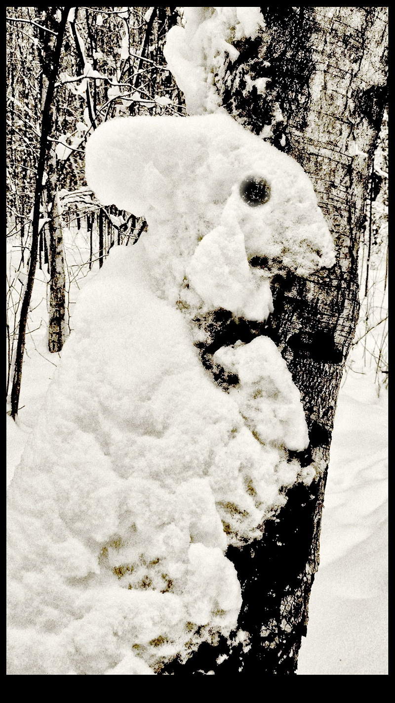 «Чужой» Москва зима местный лесопарк налипание снега pareidolia Alien