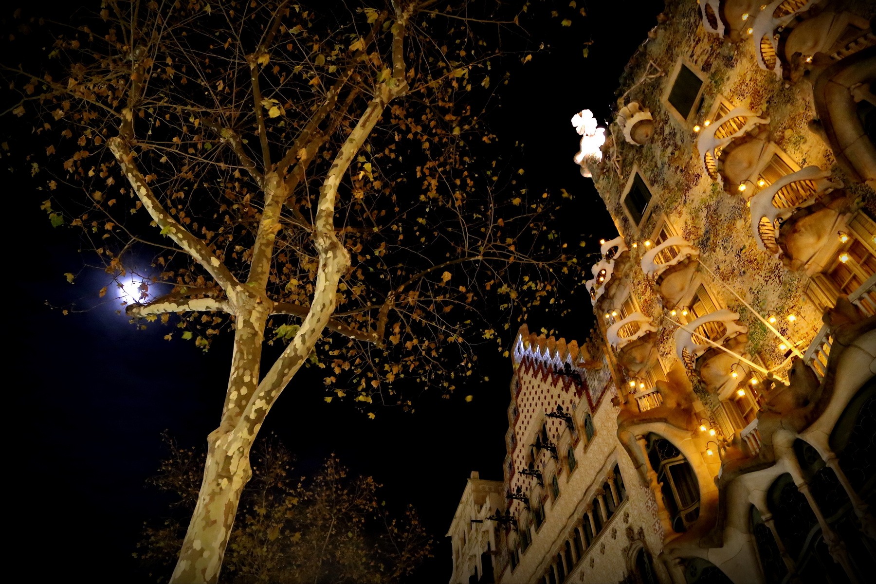 Gaudí 