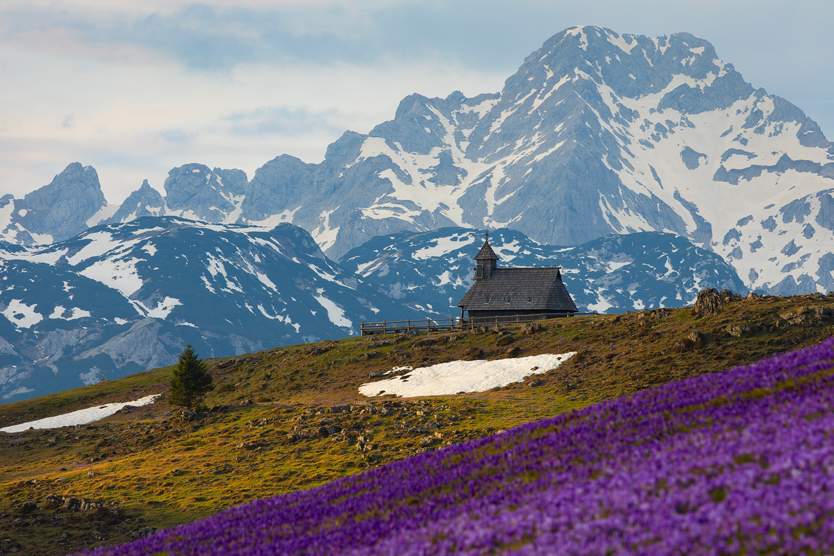 Весна в высокогорье словения велика планина альпы alps slovenia velika planina