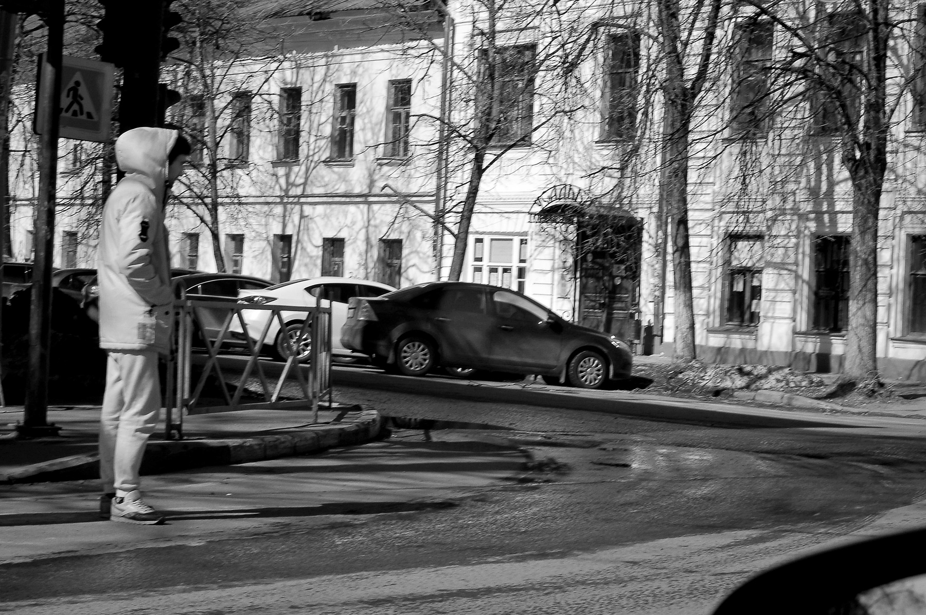 Холодная весна....года. Ярославль.Ярославская губерния.Р.Ф.2024г.г. от Р.Х. Инфракрасная,чёрно-белая,монохромная, фотография. (infrared imaging) 