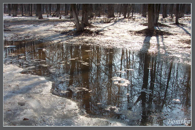 Апрель лужа, весна, лес, снег