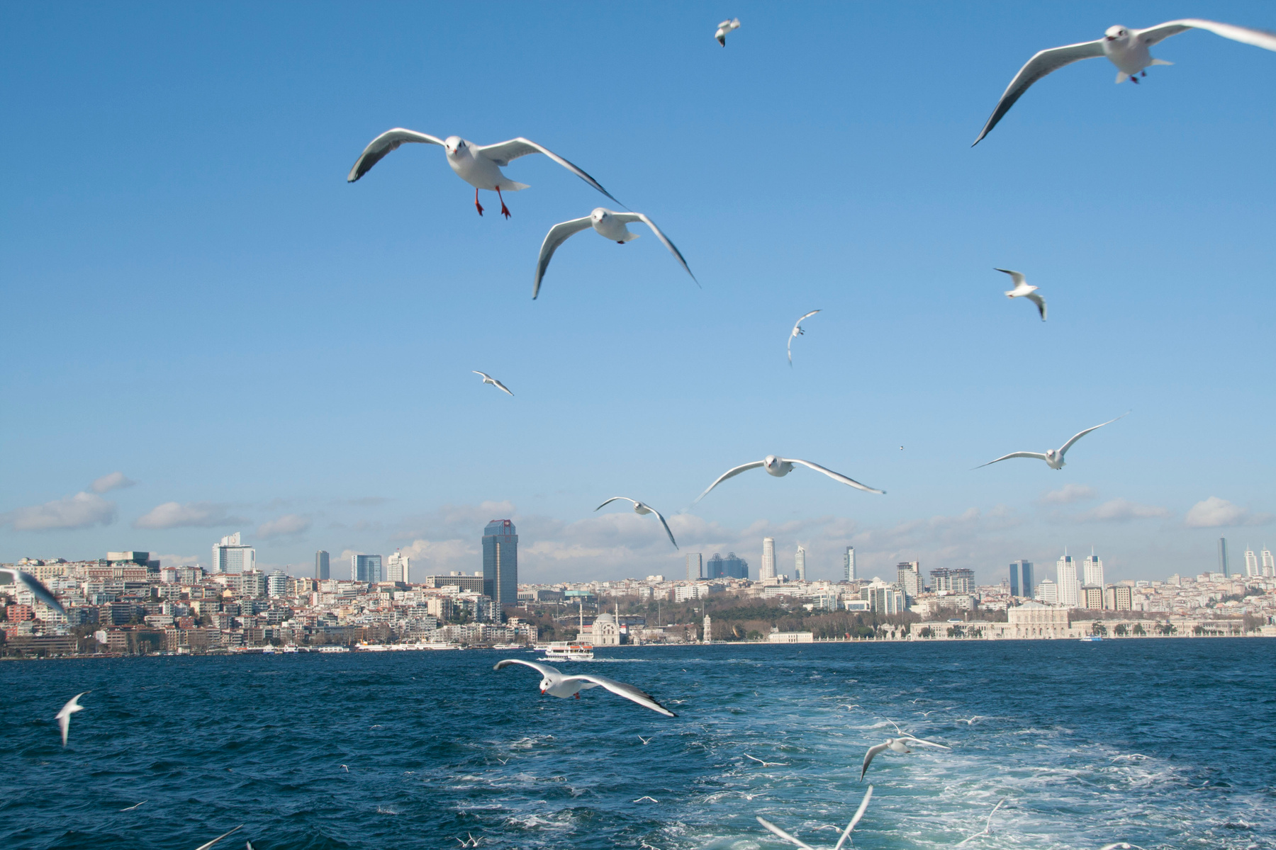 Bosphorus Bosphorus