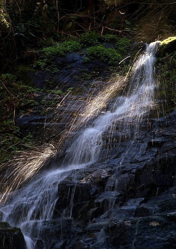 dropsfall 