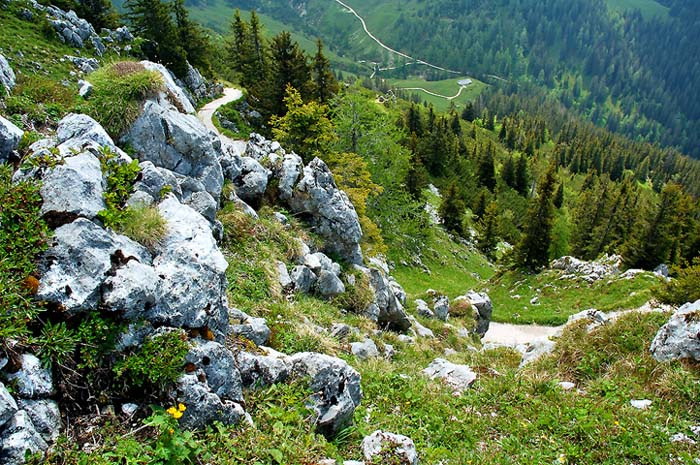 Горные тропы Альпы