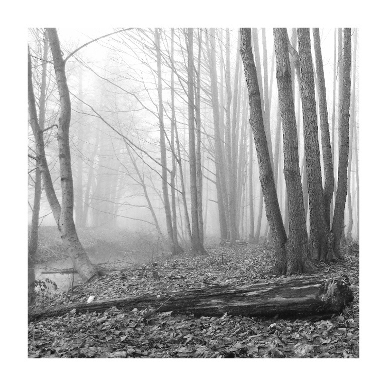 ____________ tuman vesna