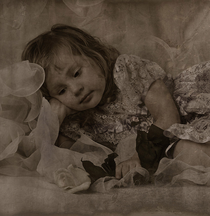 The young rose 