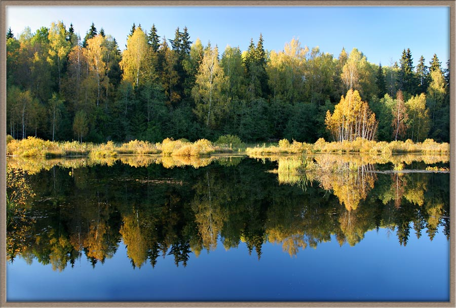 Отражение осени Осень,вечер,озеро,лес.