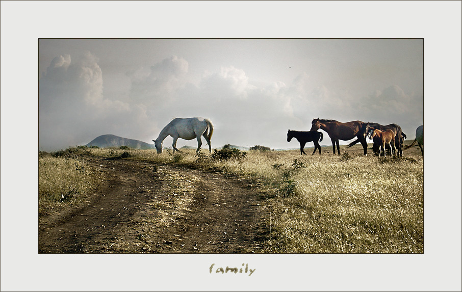 family 