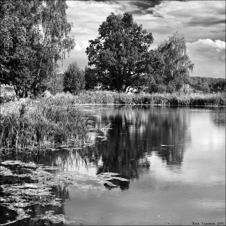 Июльская чёрно-белая Июльская чёрно-белая 23506