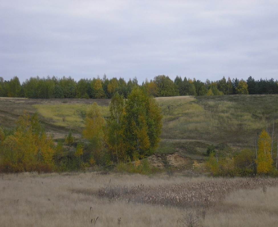 Липецкие зарисовки Урусовский лес, осень