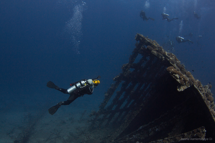 Carnatic wreck red sea