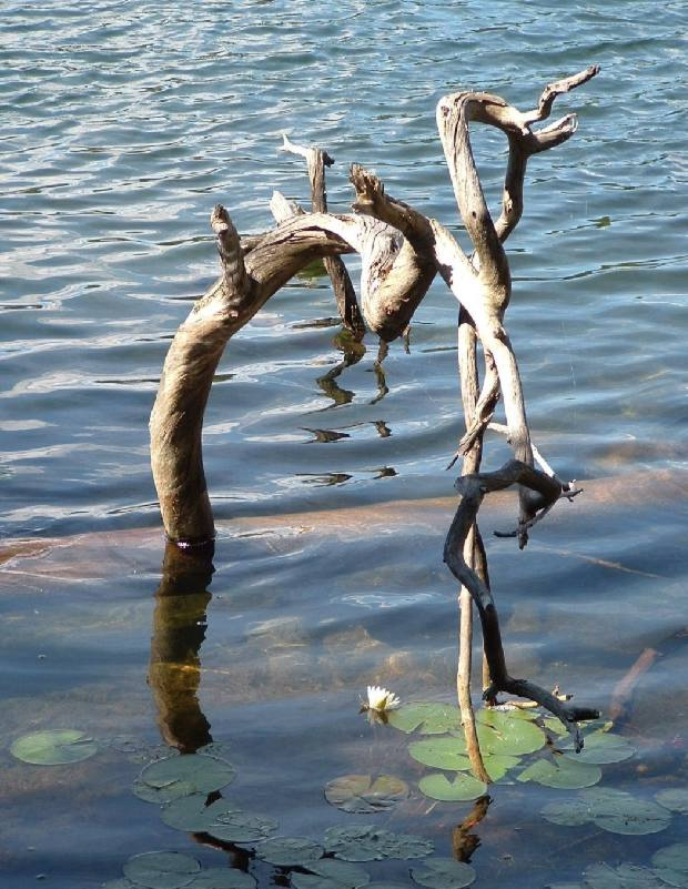 Natural composition 