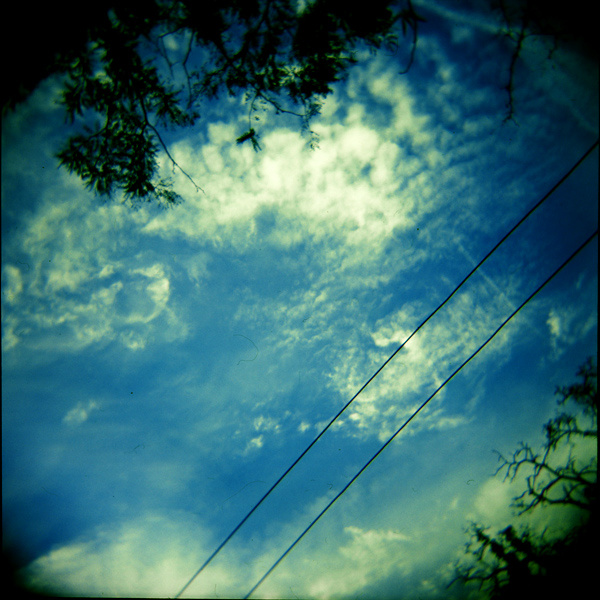 Watch the seasons die www.ikonnikov.com