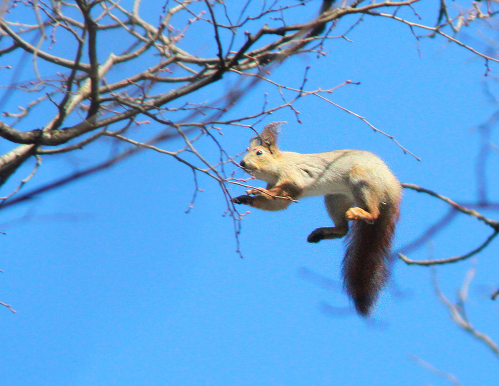 Полёт 
