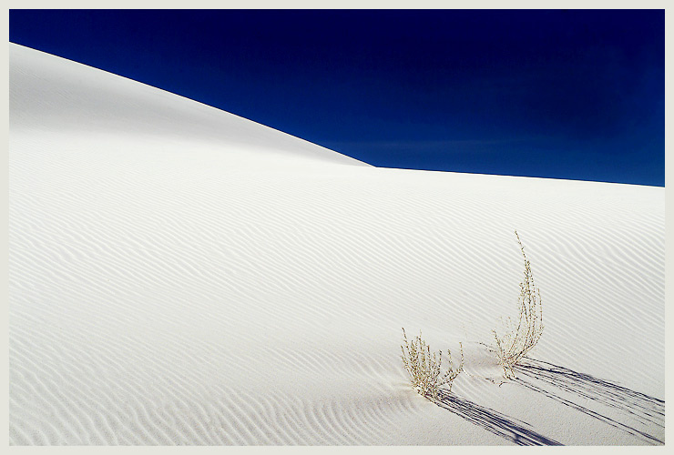 White dune 