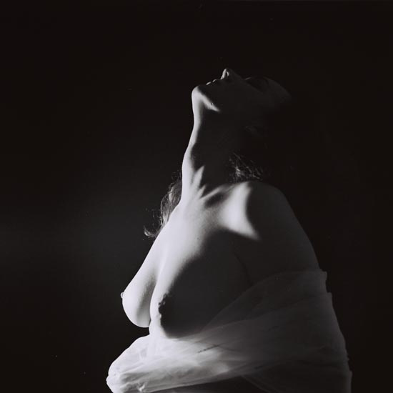 profile mamiya c330