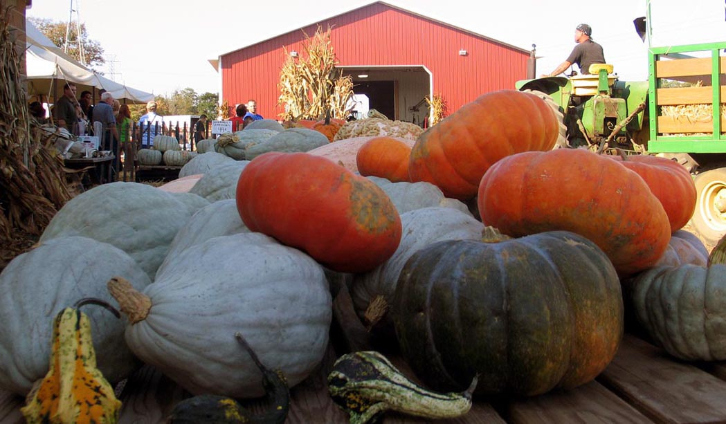 Old Bridge Farm,NJ 