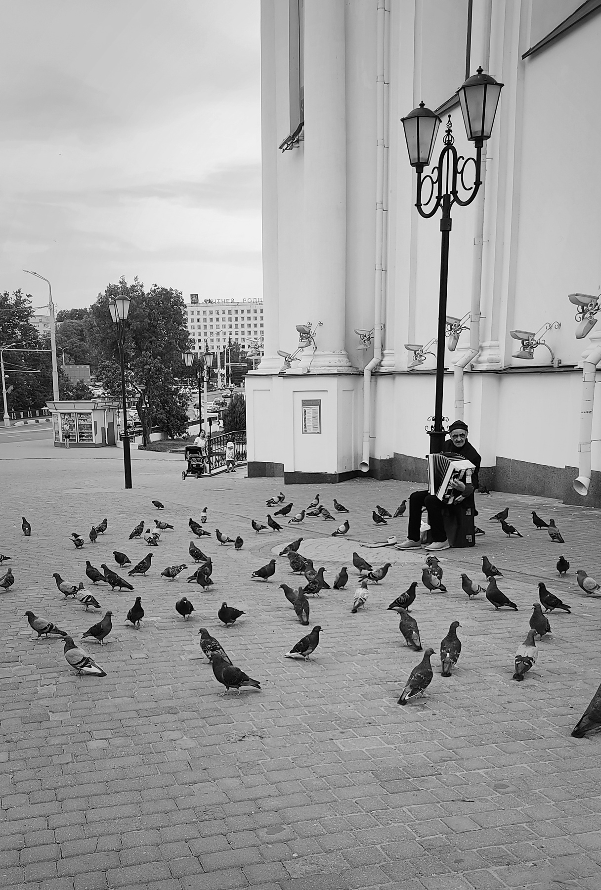 Уличный концерт Улица мужчина баян концерт голуби птицы чёрно-белые город музыка