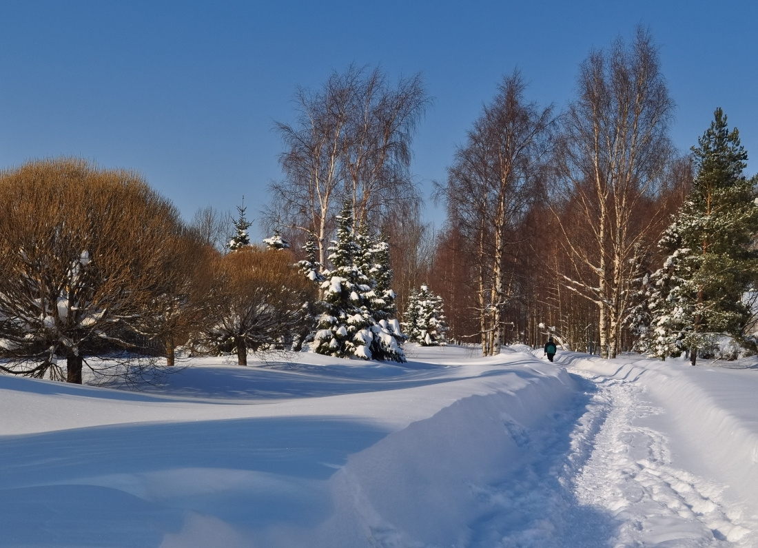 Дорожка в парке. Февраль дорожка парк февраль Хельсинки park February Helsinki
