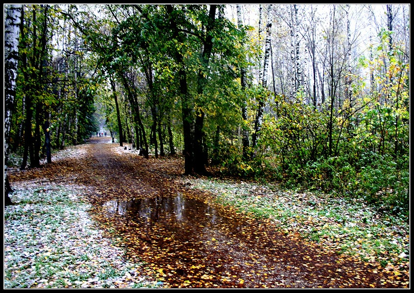 Первый снег Снег первый парк осень
