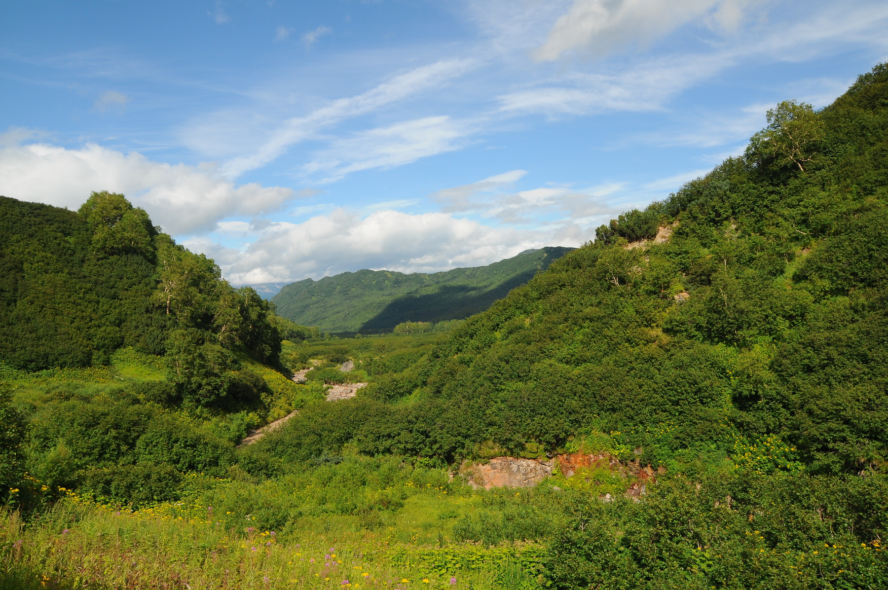 Камчатские краски Камчатка
