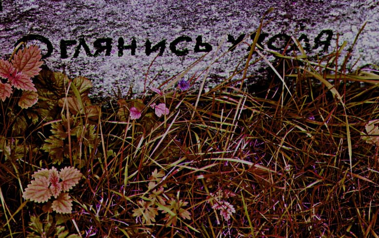детская просьба камень слова трава