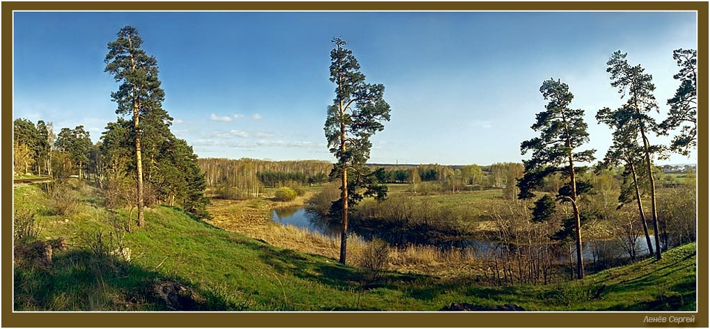 Весенняя Фотоаппарат \"Горизонт\", штатив, сосновый бор, Челябинск, Ленёв Сергей