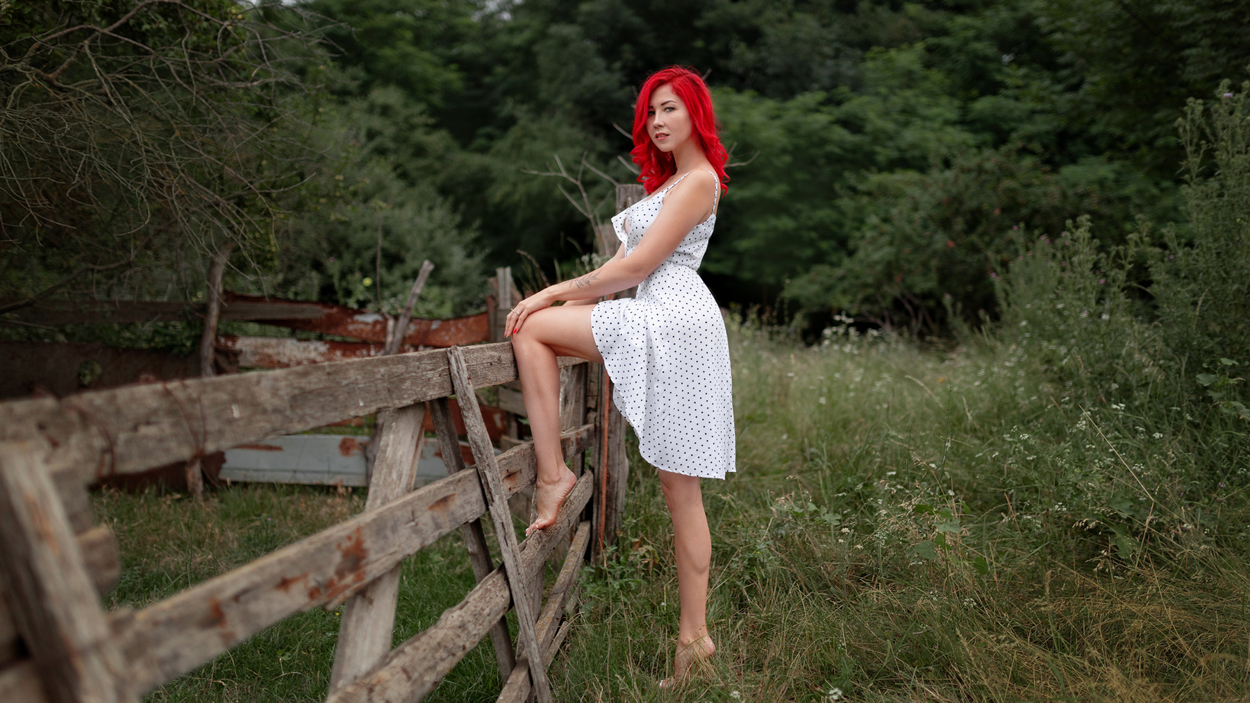 Ludmila 