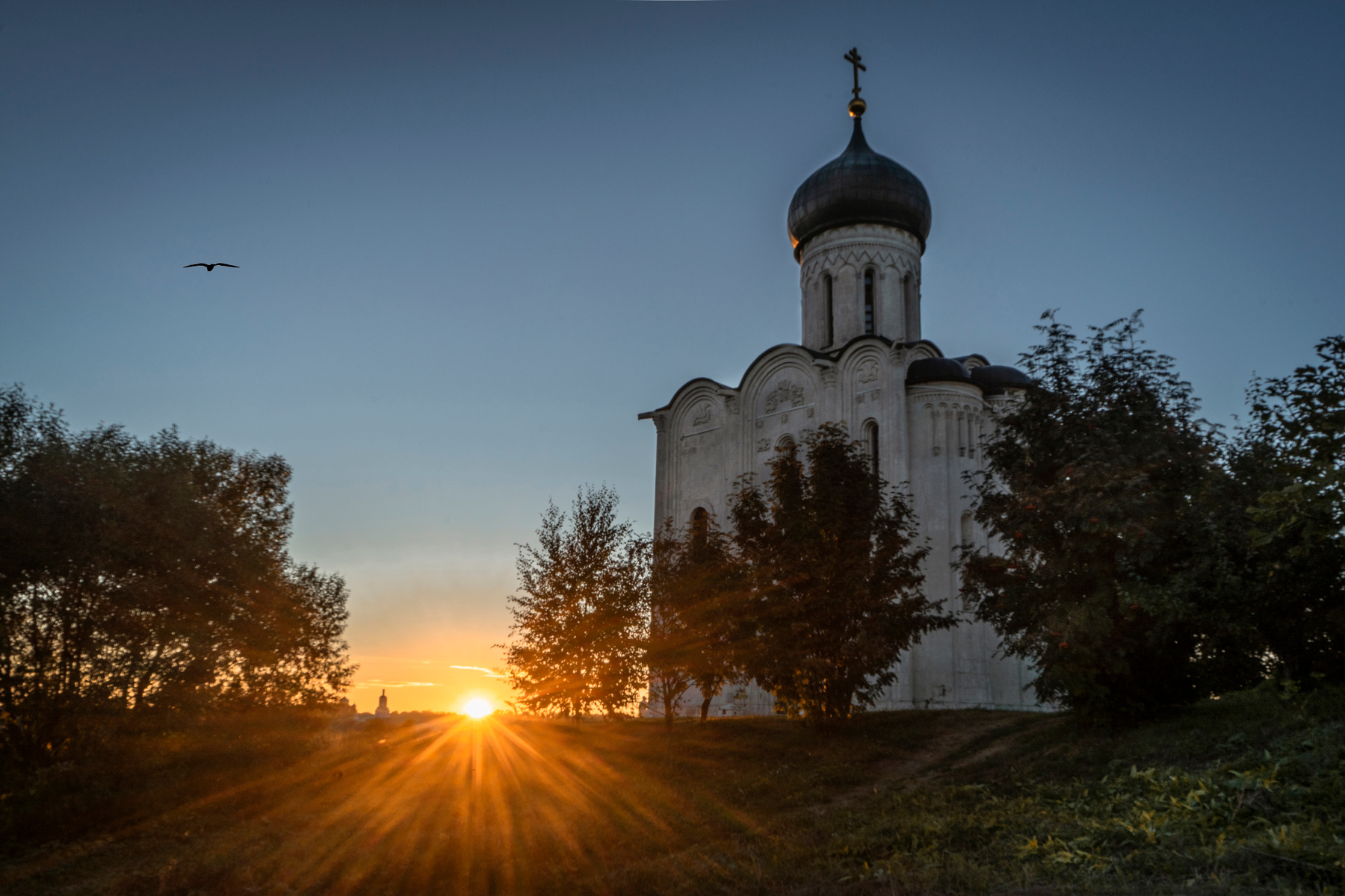 Полет на закат 