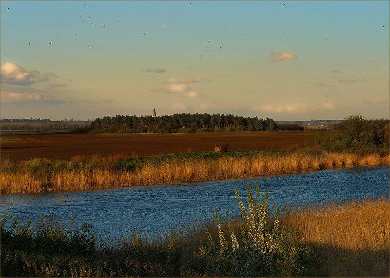 Весна в Заречье 