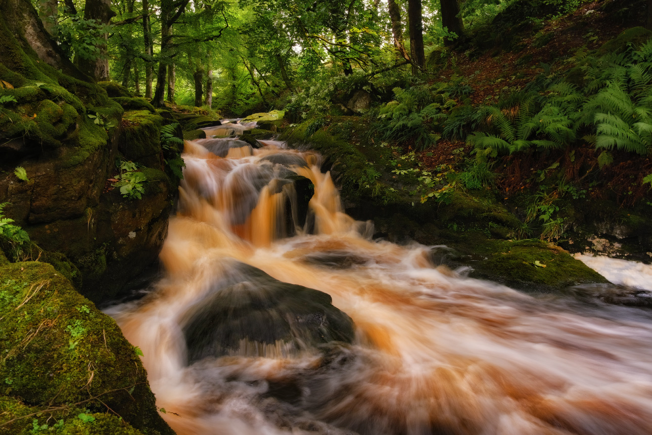 ...after heavy rains... ireland nature outdoors scenic long exposure creek stream wood forest cloghleagh wicklow mysterious waterfall cascades destination picturesque europe travel hike
